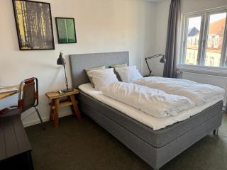 Hotel Birksø - Ry - 1