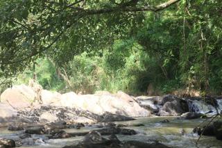 Riverside Guest House Welimada - Nikawatawana - 5