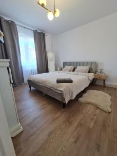 Dawn Apartment - Cluj-Napoca - 0
