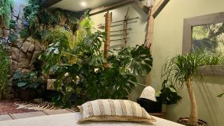 Tropical Lodge SPA Narbonne - 3