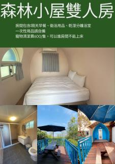 深山林內民宿 - Zhushan - 9