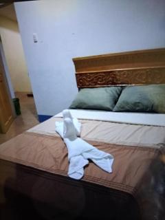 Dela-Chen Roadside Hostel - Moalboal - 8