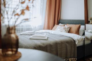 Chisinau City Center New Renovation 1BR - 0
