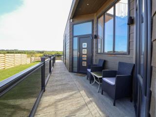 The Lodge Racecourse House - Holywell - 8