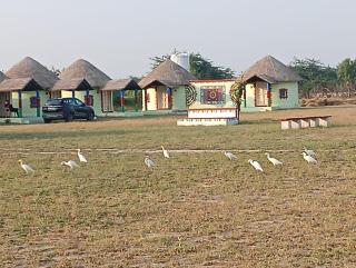 Rann Diamond Village Resort - Bherandiāla - 9