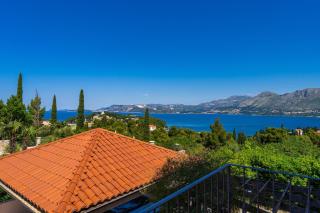 Villa Alegria Cavtat - Cavtat - 8