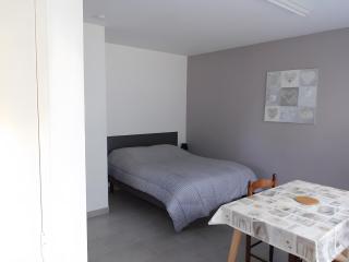 Les Pins - Domaine Des Landes - Lesperon - 7
