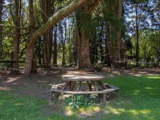 The Eco Lodge - TSB Topec outdoor pursuits centre - Hillsborough - 6