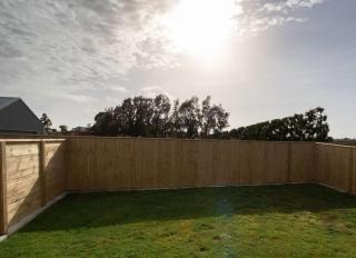 The Window Seat - pet-friendly 1BR apartment - Waitara - 2