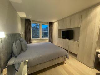 Modern and Luxurious 2 Bedroom Flat - Barons Court - Londra - 0