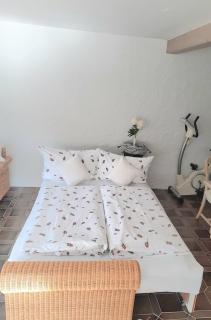 Apartment Rose - Forbach - 2