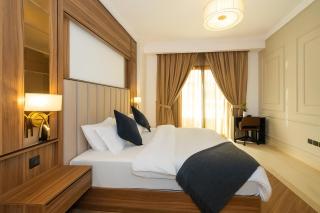 Luxe Spacious 1 BR apartment - 6