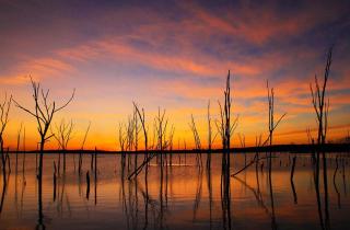 Bundalong Bliss - 0