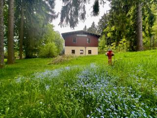 Waldhotel Zöbischhaus - Bad Reiboldsgrün - 9