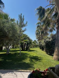 Sunflowers Apartment - 8