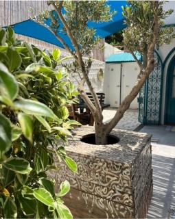 Dar Echatt Chott Mariem Sousse - Hammam Sousse - 7