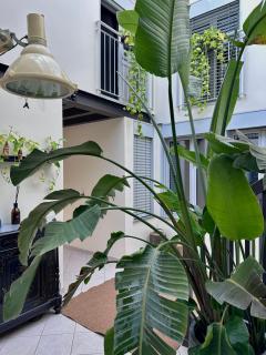 OMA Apartment Pavia - 1