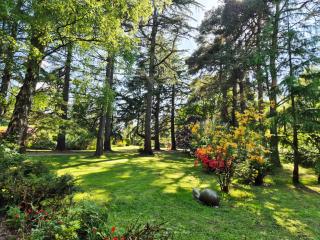The Studio, Apedroc - Forest Row - 5
