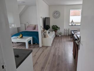 De Merel - Leeuwarden - 2