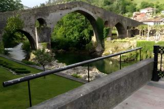 Piso vacacional Rio Gueña - Cangas de Onís - 0