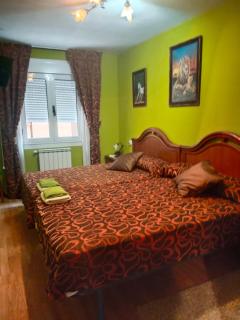 Piso vacacional Rio Gueña - Cangas de Onís - 5