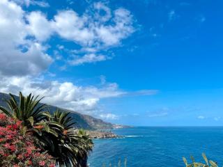 Exclusive Ocean Views - Los Realejos - 0