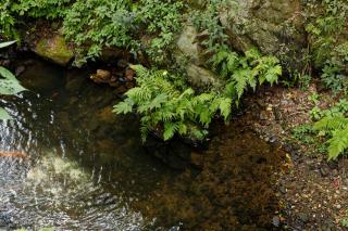 花筑其间 咖啡民宿丨西湖区灵隐寺店 - 2