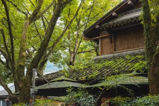 花筑其间民宿丨西湖区灵隐寺店 - Hangzhou - 4