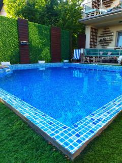 Villa Saturea - Boljevac - 1