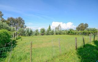Pet Friendly Home In Montechiari - Forcoli - 3