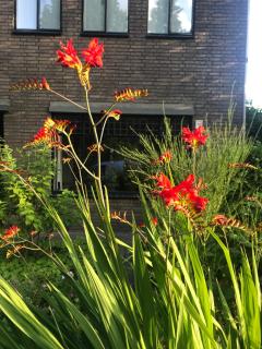 Eikenburg B&B - Eindhoven - 5