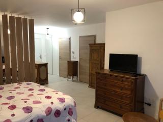 Studio 38m2 parking et terrasse en centre-ville - Aix-les-Bains - 9