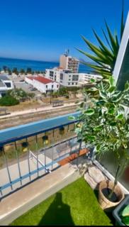 Green Harmony - Patra - 6