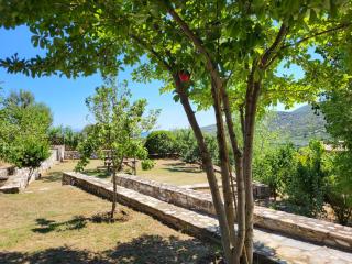 Forest House -Alexandra - - 3