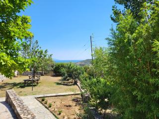 Forest House -Alexandra - - 1