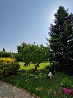 Maison 10 personnes Golf - Hippodrome - 1