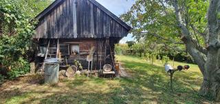 Holiday home Cserszegtomaj/Balaton 38183 - Cserszegtomaj - 2