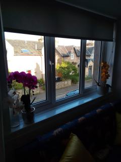 Cosy Crown 1 bedroom flat for up to 4 guests - Inverness - 5
