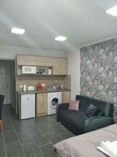 Studio in Csopak - Balaton 44876 - Csopak - 5