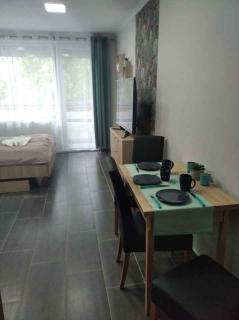 Studio in Csopak - Balaton 44876 - Csopak - 3