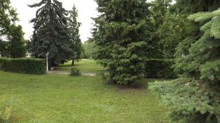 Studio in Csopak - Balaton 44876 - Csopak - 7