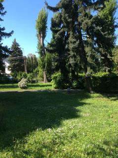 Studio in Csopak - Balaton 44876 - Csopak - 6