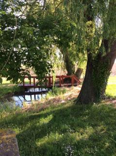 Studio in Csopak - Balaton 44876 - Csopak - 5