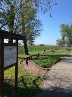 Studio in Csopak - Balaton 44876 - Csopak - 1