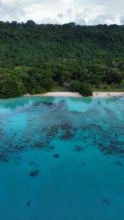 Lonnoc ocean view beach bungalows - Luganville - 4