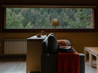 Els Apartaments del bosc - 9