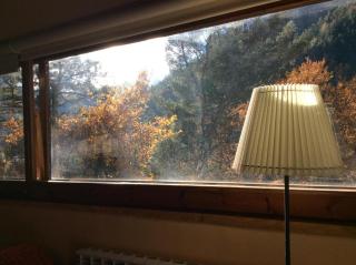 Els Apartaments del bosc - 4