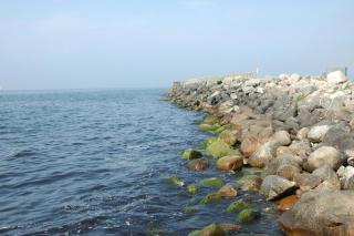 Beachfront escape with eclectic dog-lover charm - Smygehamn - 2