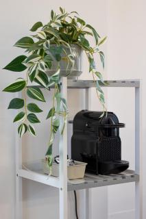 Linate - 10 Minutes From Duomo, WiFi - Milan - 3