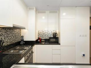 Burj View 3BDR with Rooftop Infinity Pool - 4